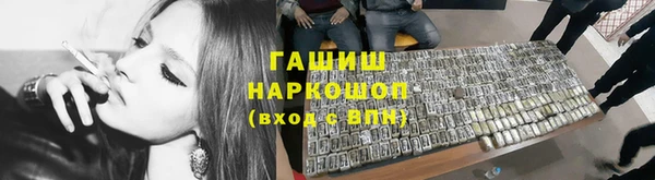 стаф Алзамай