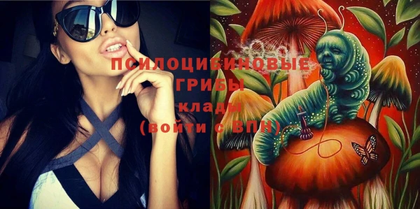 хмурый Алексеевка