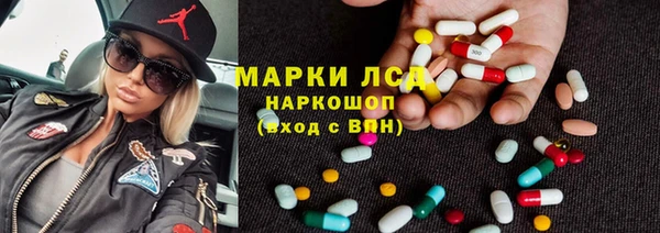стаф Алзамай