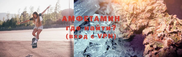 стаф Алзамай