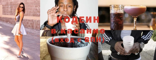стаф Алзамай